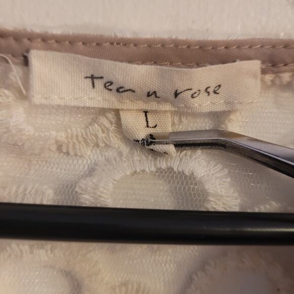 Tea Rose Embroidered Skater Dress L Fit Flare Mesh Layered Neutral Coquette - Picture 5 of 9